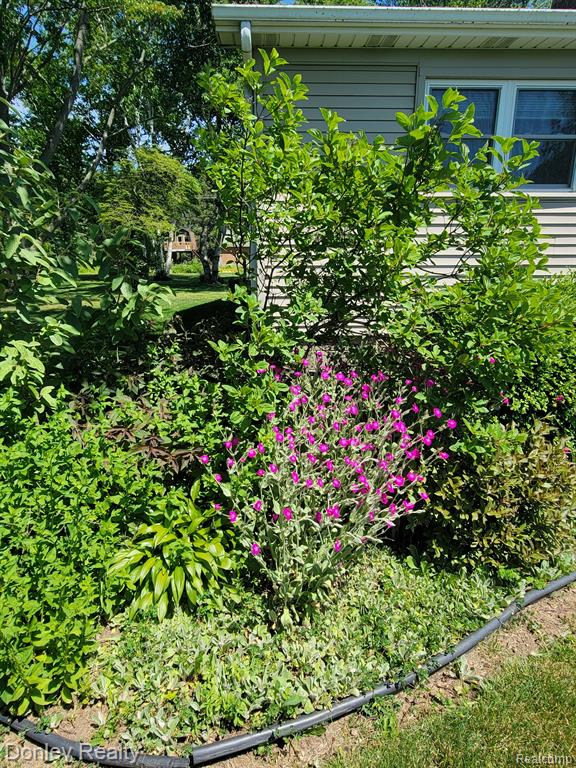 330 West Marlette Road Sandusky, MI 48471 - Photo 41 of 47