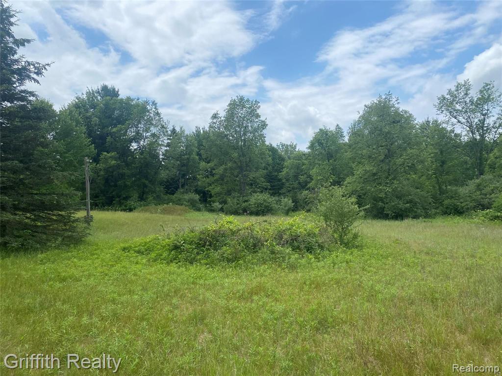 10420 Betterly Road Howell, MI 48855 - Photo 5 of 7
