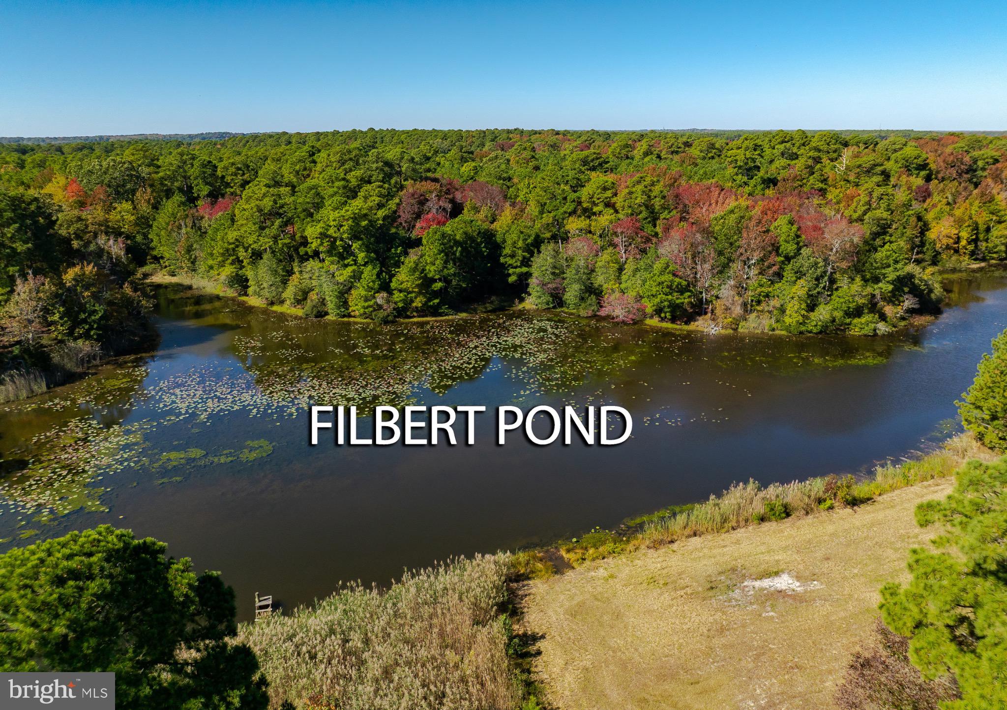 50645 Holly Point Road Dameron, MD 20628 - Photo 34 of 99