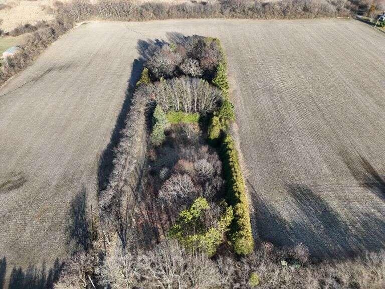 10021 Clay Street Crown Point, IN 46307 - Photo 8 of 30 768x576