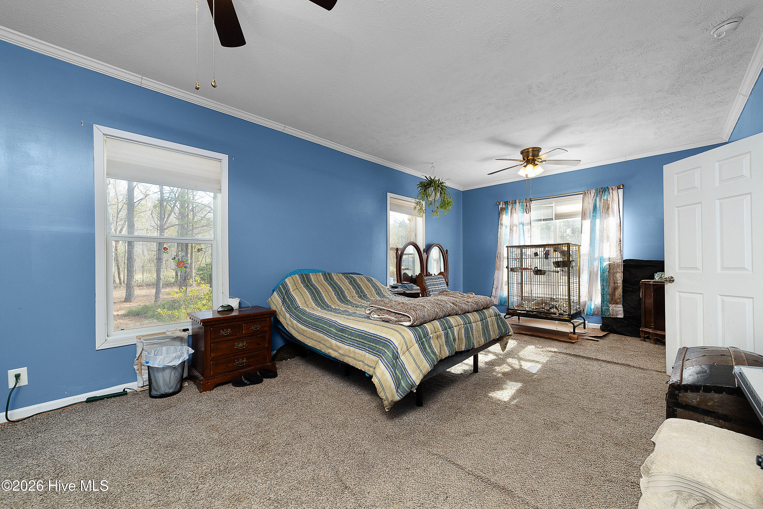 619 Cotton Patch Road Chocowinity, NC 27817 - Photo 8 of 27 Owners Suite