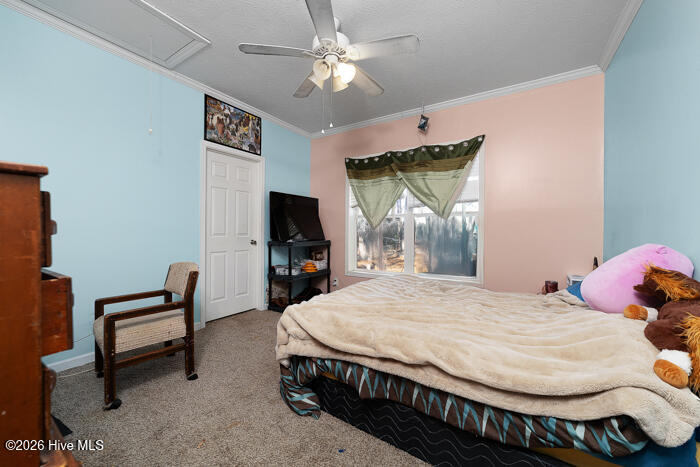 619 Cotton Patch Road Chocowinity, NC 27817 - Photo 9 of 27 Second Bedroom