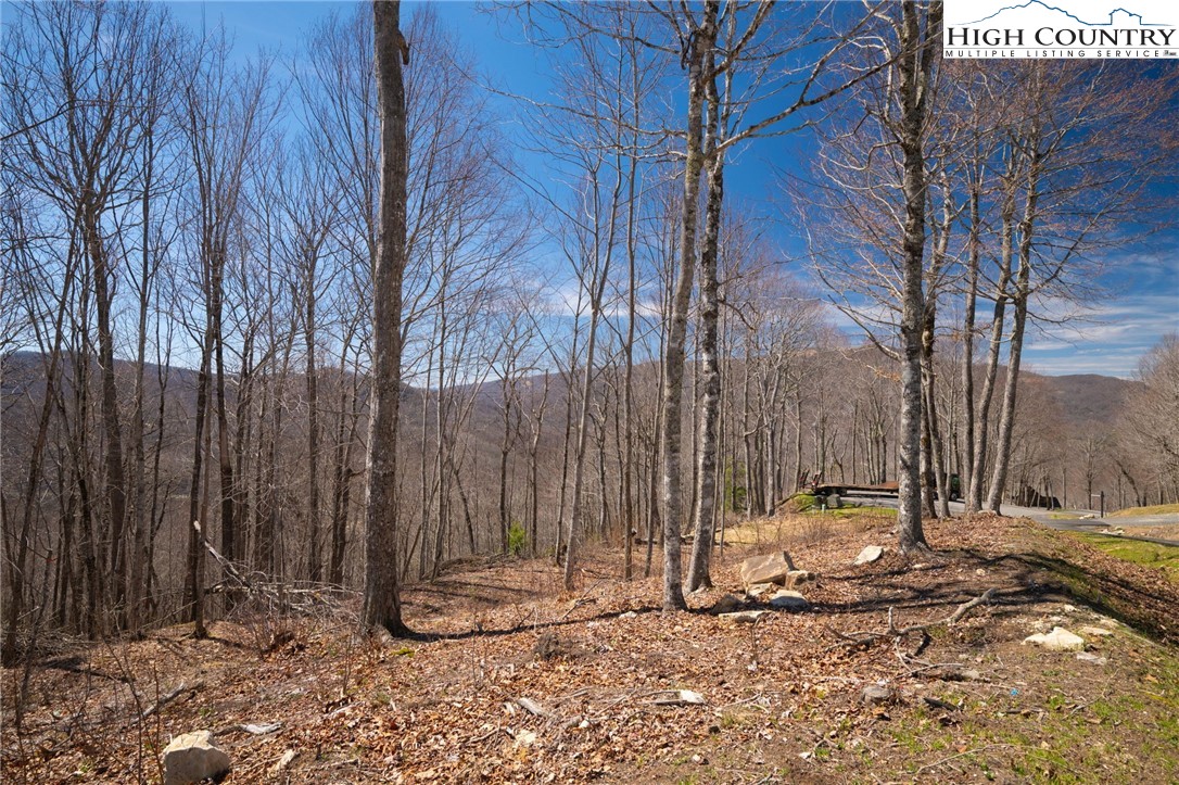 Lot 80 Bear Paw Road Elk Park, NC 28622 - Photo 16 of 19