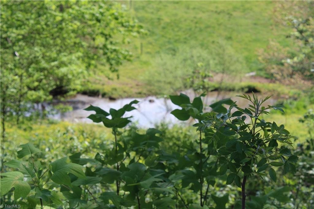 187 Casstevens Road Mount Airy, NC 27030 - Photo 22 of 27 Gallery Image 22