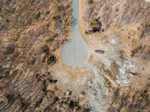 a view of a dry yard with trees