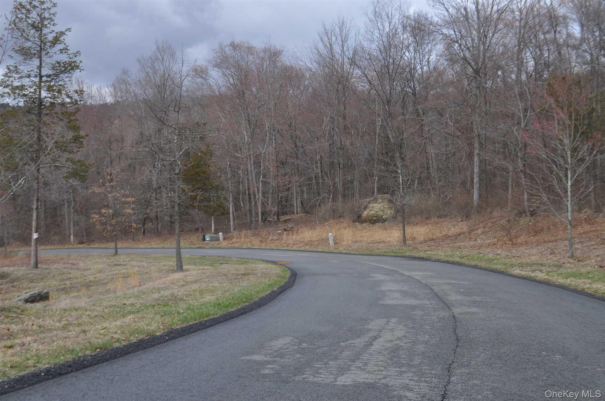 Stonecrest, Unit 19 Hopewell Junction, NY 12533 - Photo 5 of 19