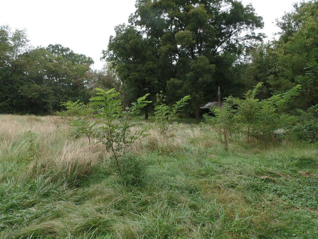 5745 Narrows Road Frazeysburg, OH 43822 - Photo 28 of 30