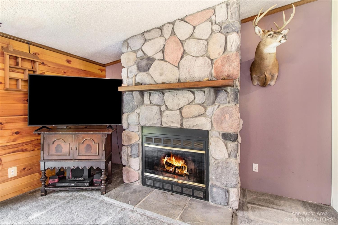 8234 West Coon Lake Road Gregory, MI 48137 - Photo 10 of 22 Gallery Image 10