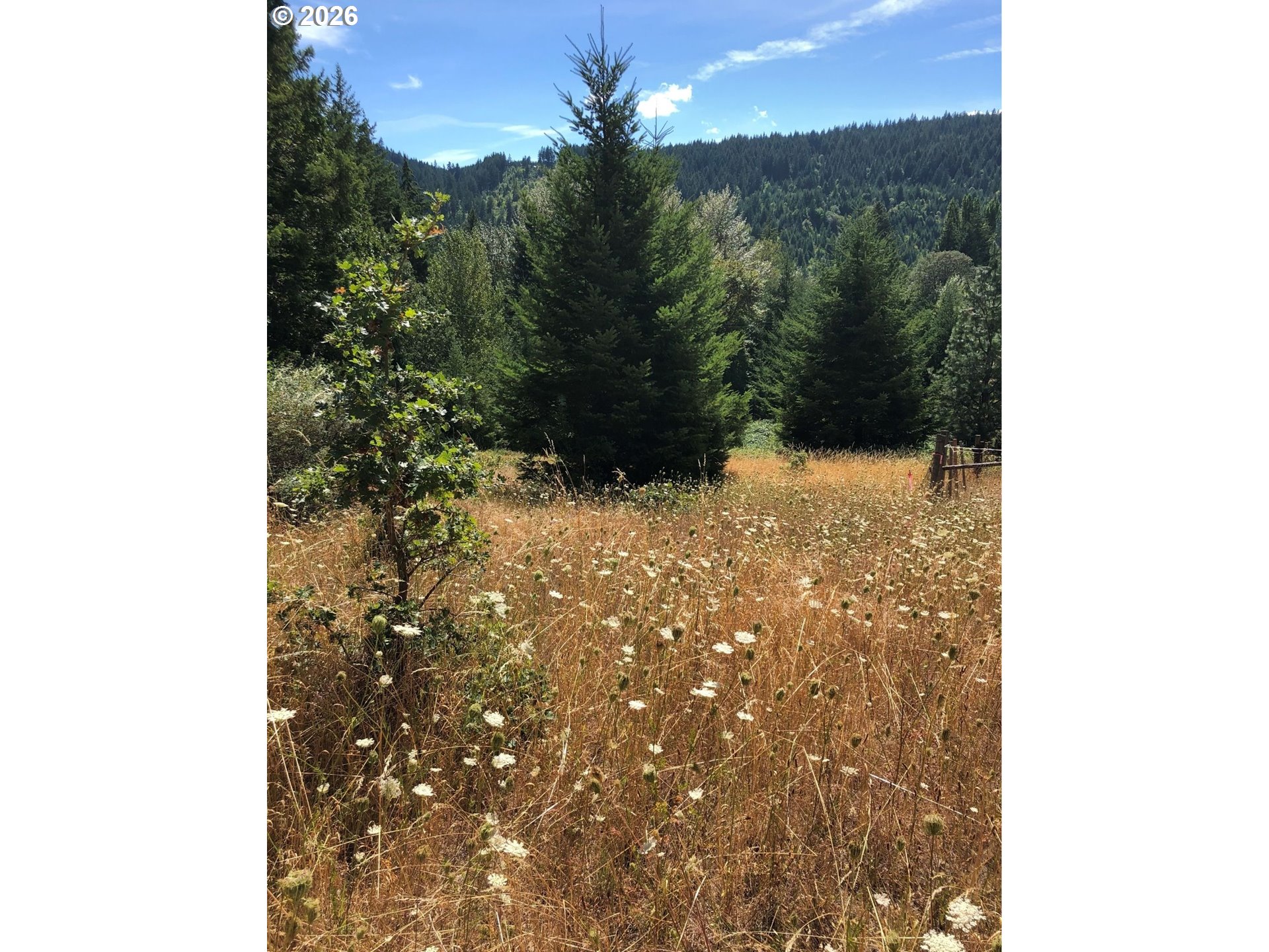 7091 Little Buck Creek Road White Salmon, WA 98672 - Photo 4 of 6