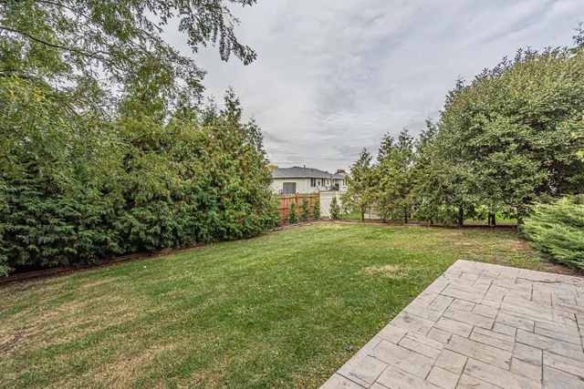 a view of a yard with plants and large trees