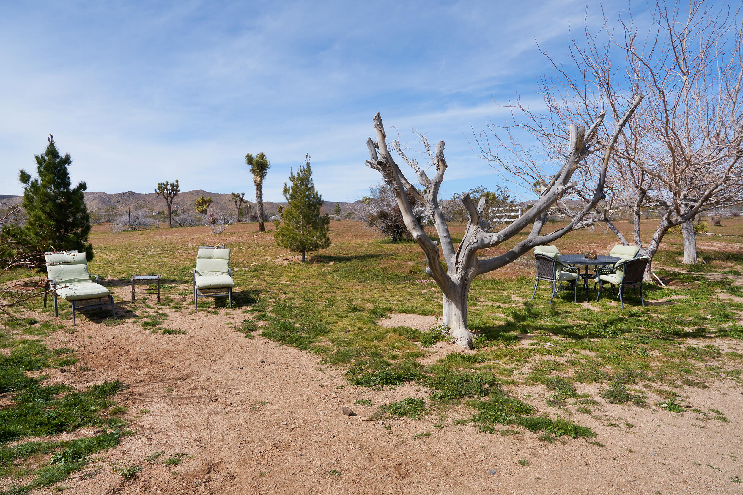 1588 Old Woman Springs Road Yucca Valley, CA 92284 - Photo 29 of 37 a backyard of a house with table and chairs