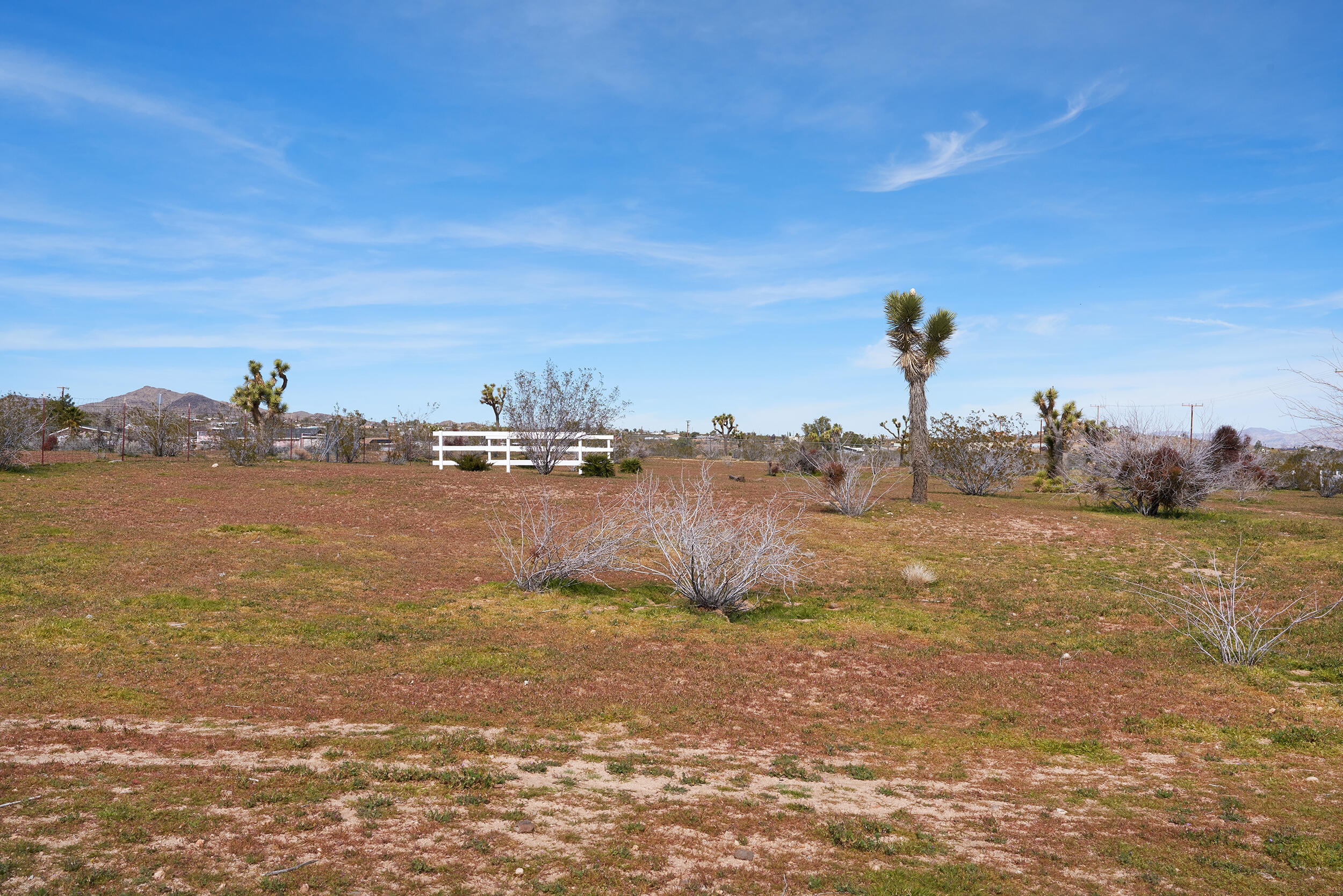 1588 Old Woman Springs Road Yucca Valley, CA 92284 - Photo 35 of 37 a view of a ocean view