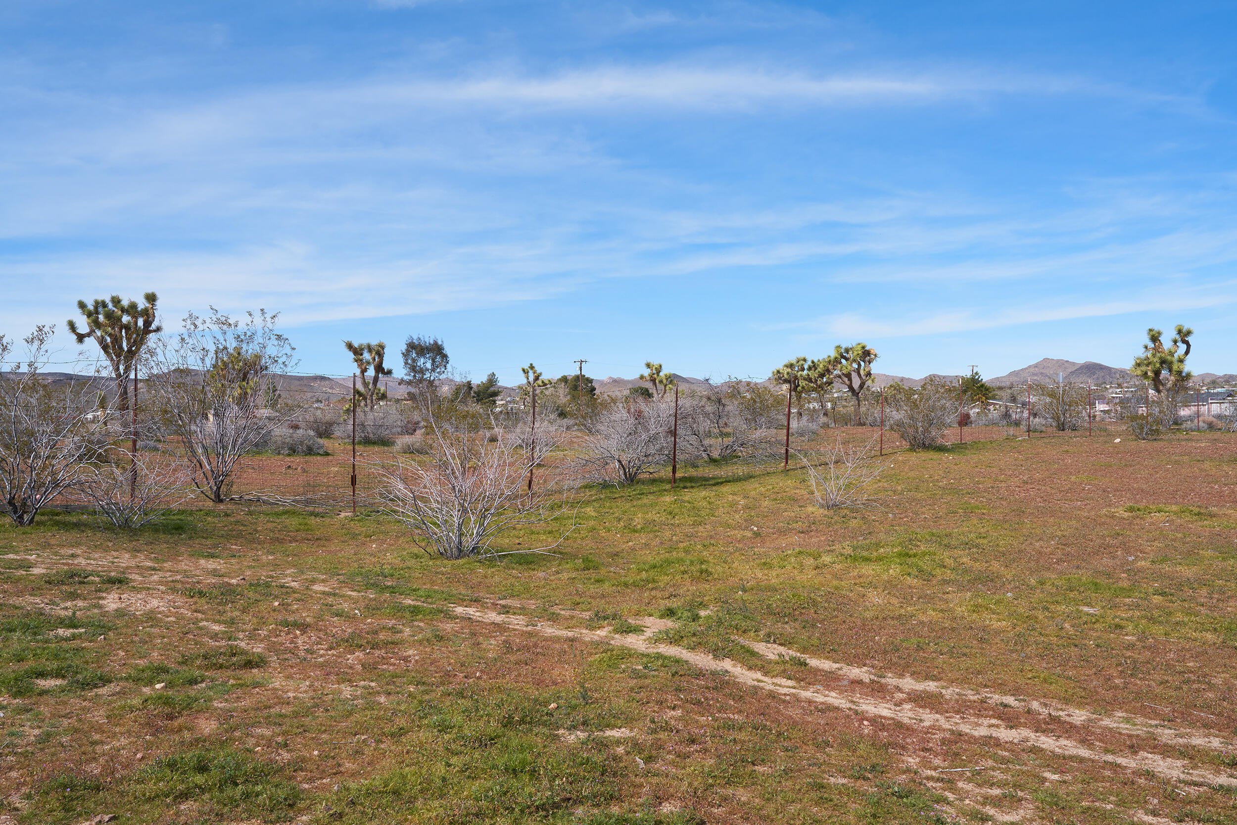 1588 Old Woman Springs Road Yucca Valley, CA 92284 - Photo 36 of 37 a view of a lake with houses in back