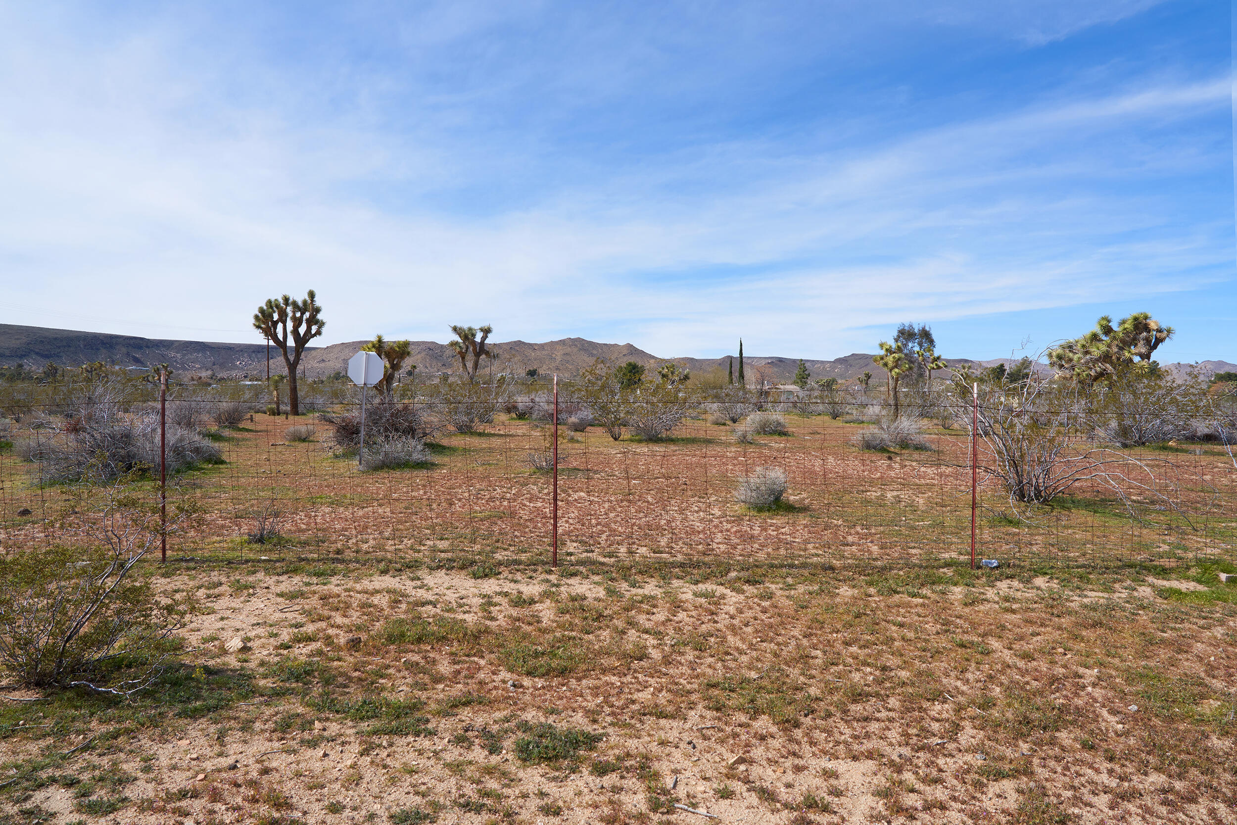 1588 Old Woman Springs Road Yucca Valley, CA 92284 - Photo 37 of 37 a view of a dry yard with trees