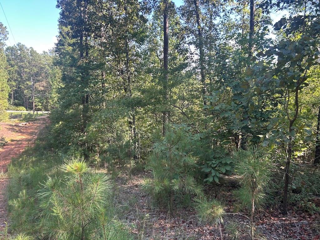 0 Springer Road Whitesburg, GA 30185 - Photo 12 of 12 Gallery Image 12