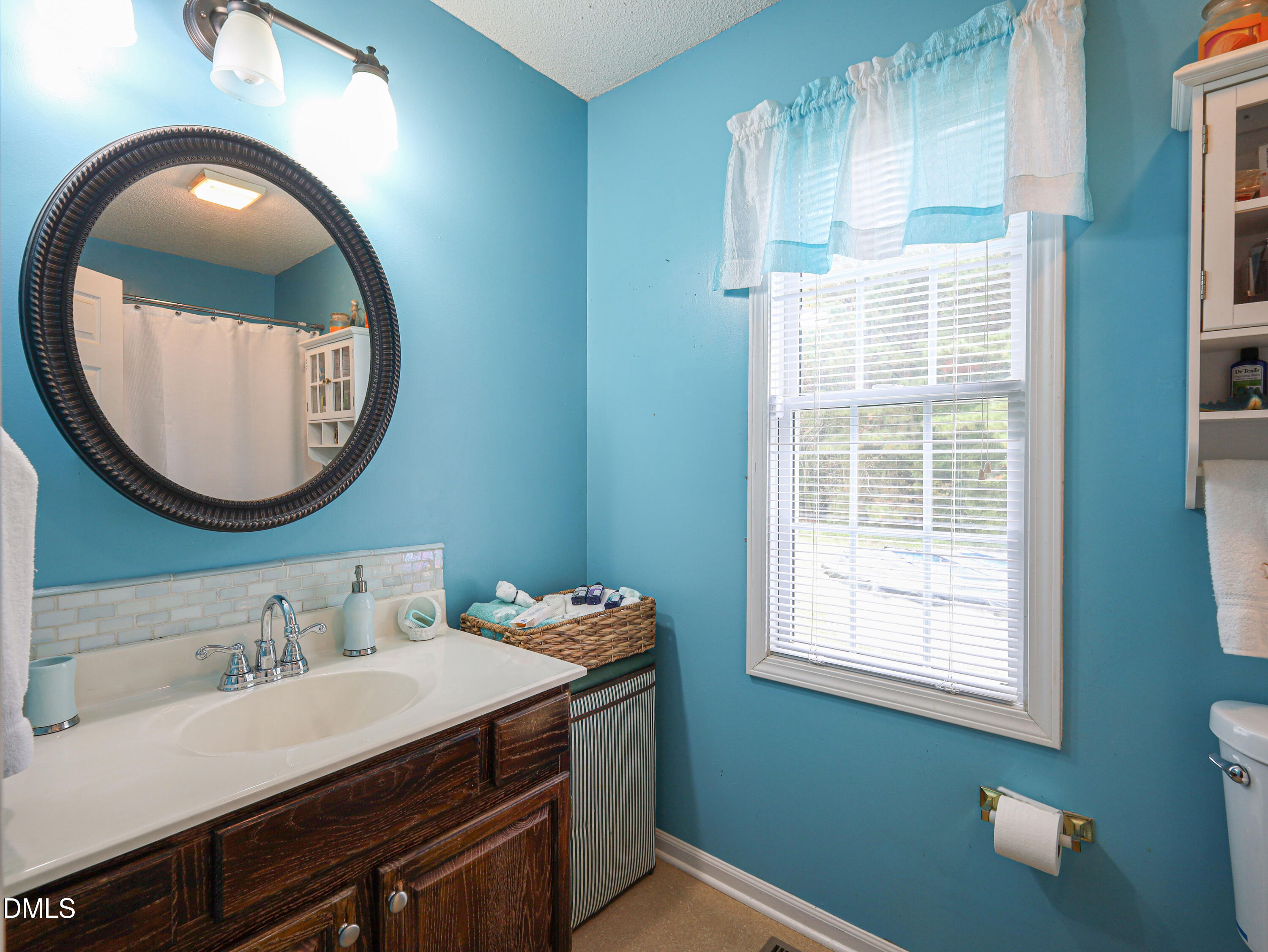 182 Scotts Lane Angier, NC 27501 - Photo 10 of 12 a bathroom with a sink and a mirror