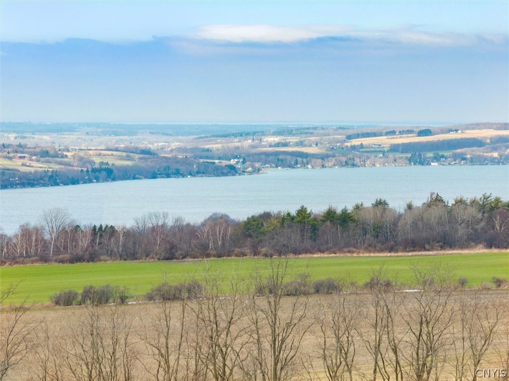 1580 Dave Hull Road Spafford, NY 13152 - Photo 17 of 44