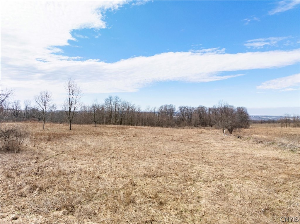 1580 Dave Hull Road Spafford, NY 13152 - Photo 27 of 44