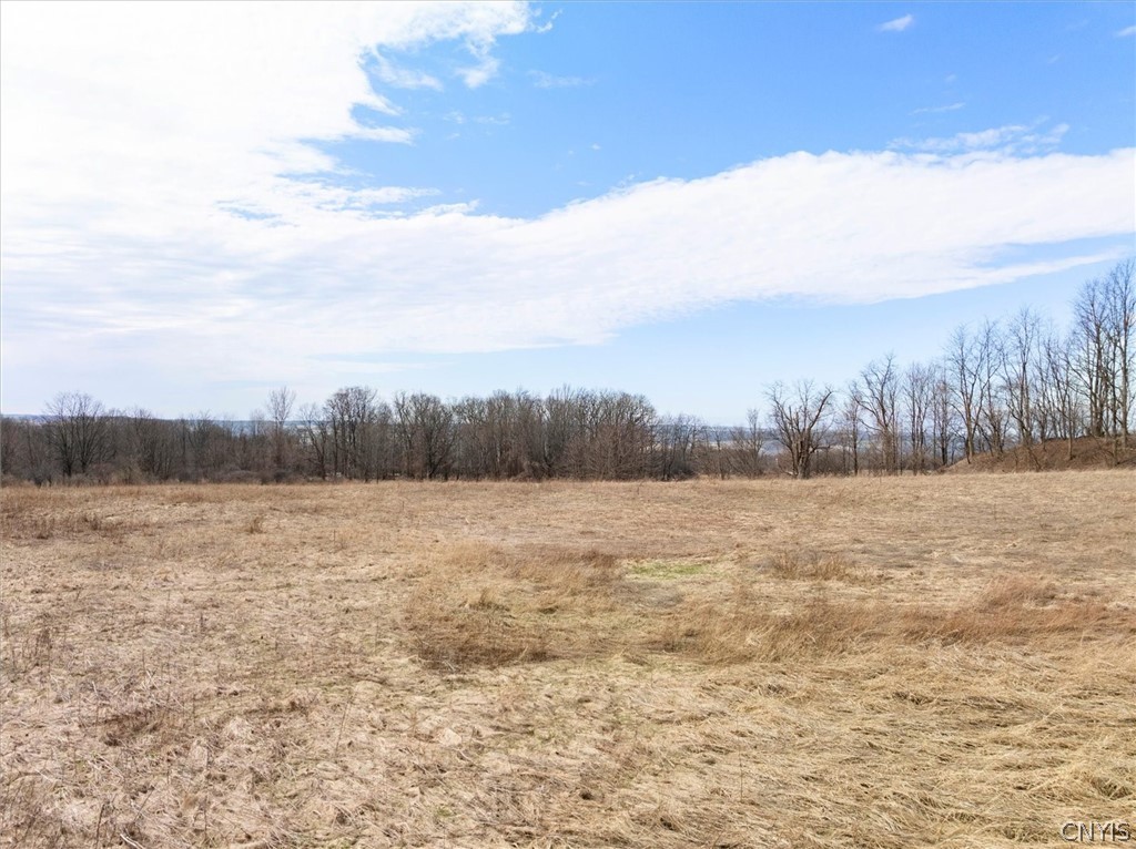 1580 Dave Hull Road Spafford, NY 13152 - Photo 30 of 44