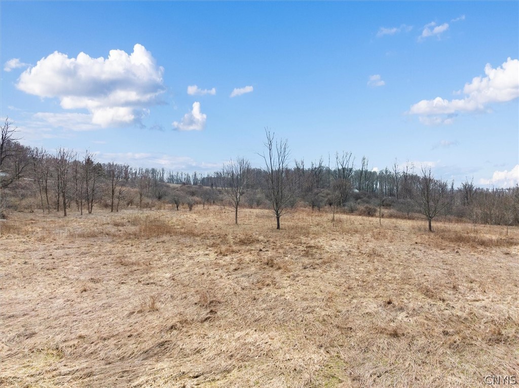 1580 Dave Hull Road Spafford, NY 13152 - Photo 31 of 44