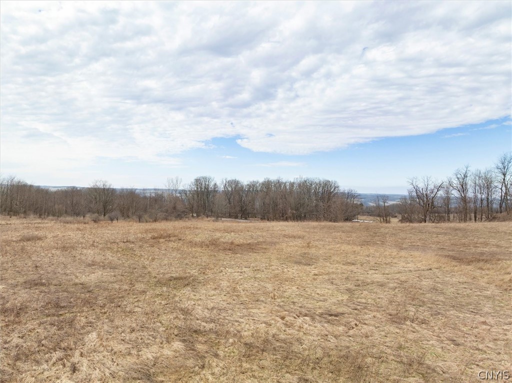 1580 Dave Hull Road Spafford, NY 13152 - Photo 35 of 44