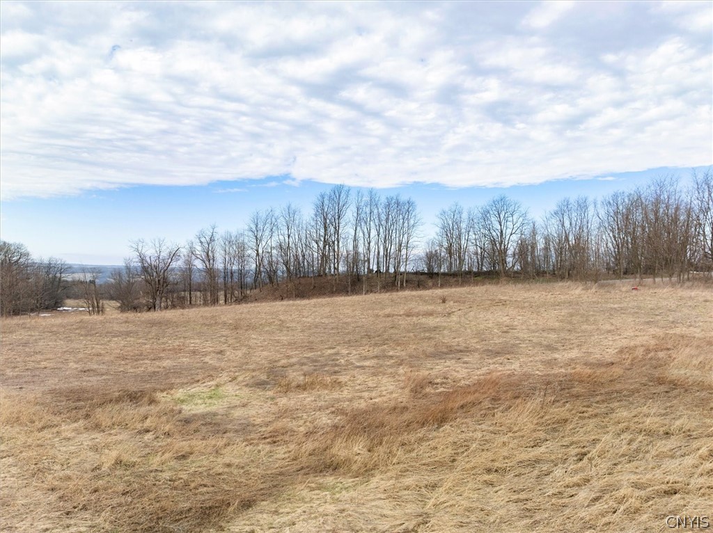 1580 Dave Hull Road Spafford, NY 13152 - Photo 36 of 44