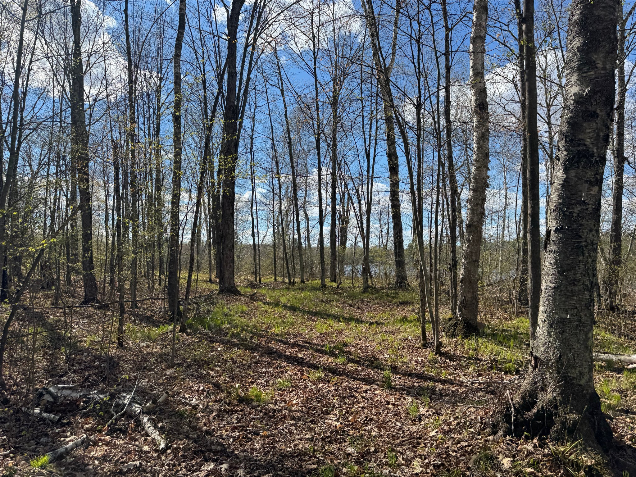 Lot 7 Trapper Trail Hayward, WI 54843 - Photo 32 of 42