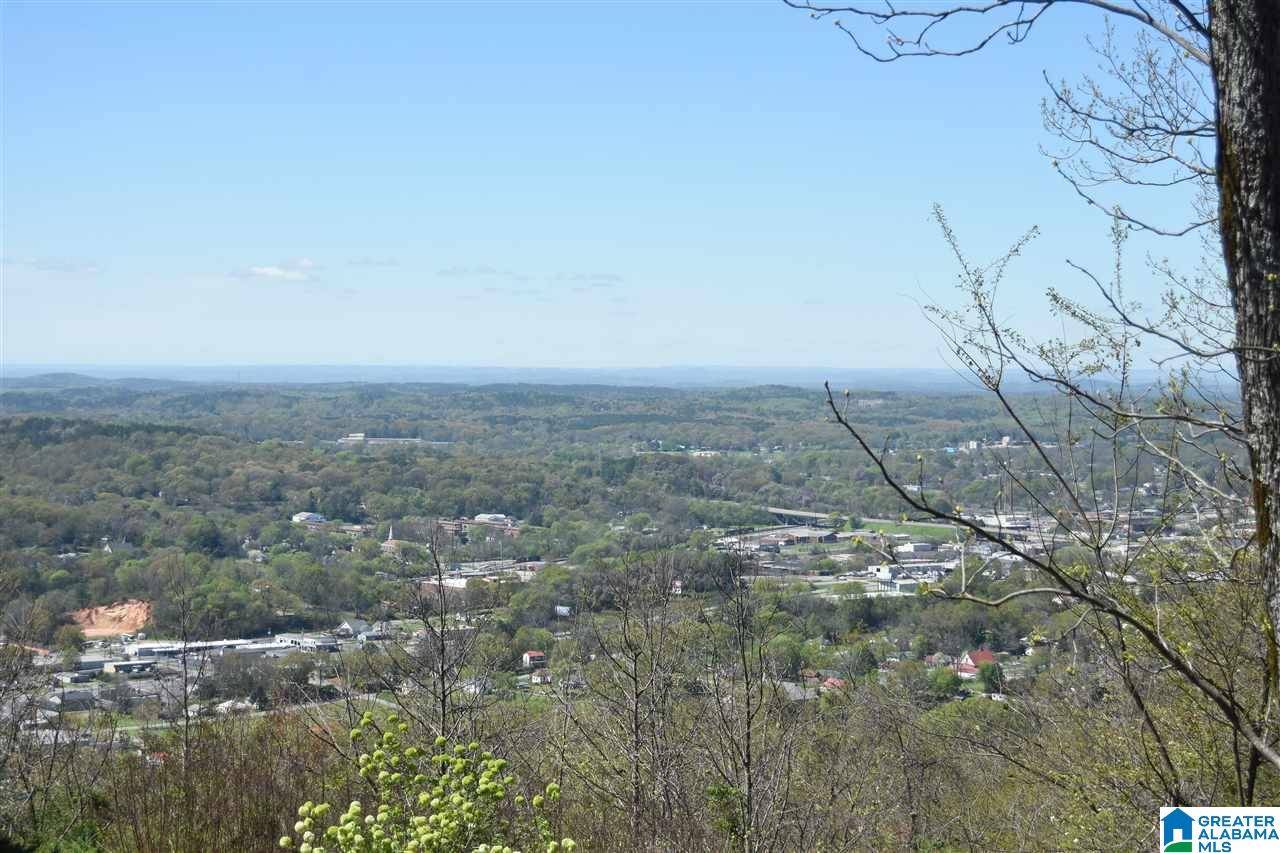 718 Hillyer High Road Anniston, AL 36207 - Photo 49 of 50