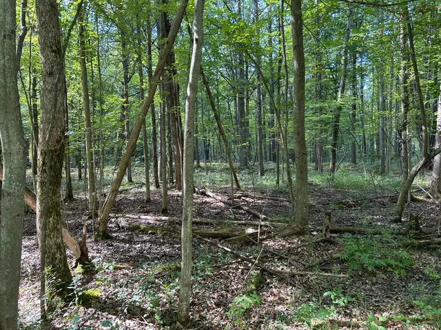 $99,900 | 3100 West Isabella Road, Shepherd, MI 48883