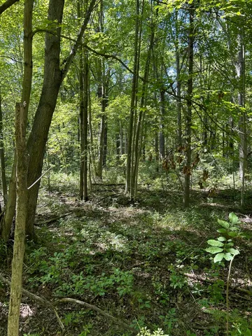 $99,900 | 3100 West Isabella Road, Shepherd, MI 48883