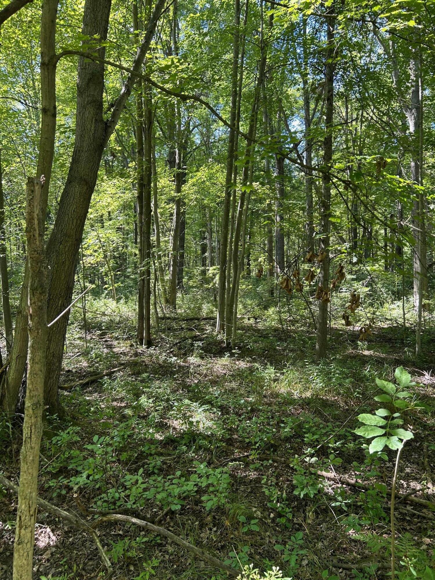 3100 West Isabella Road Shepherd, MI 48883 - Photo 2 of 7 IMG_1655