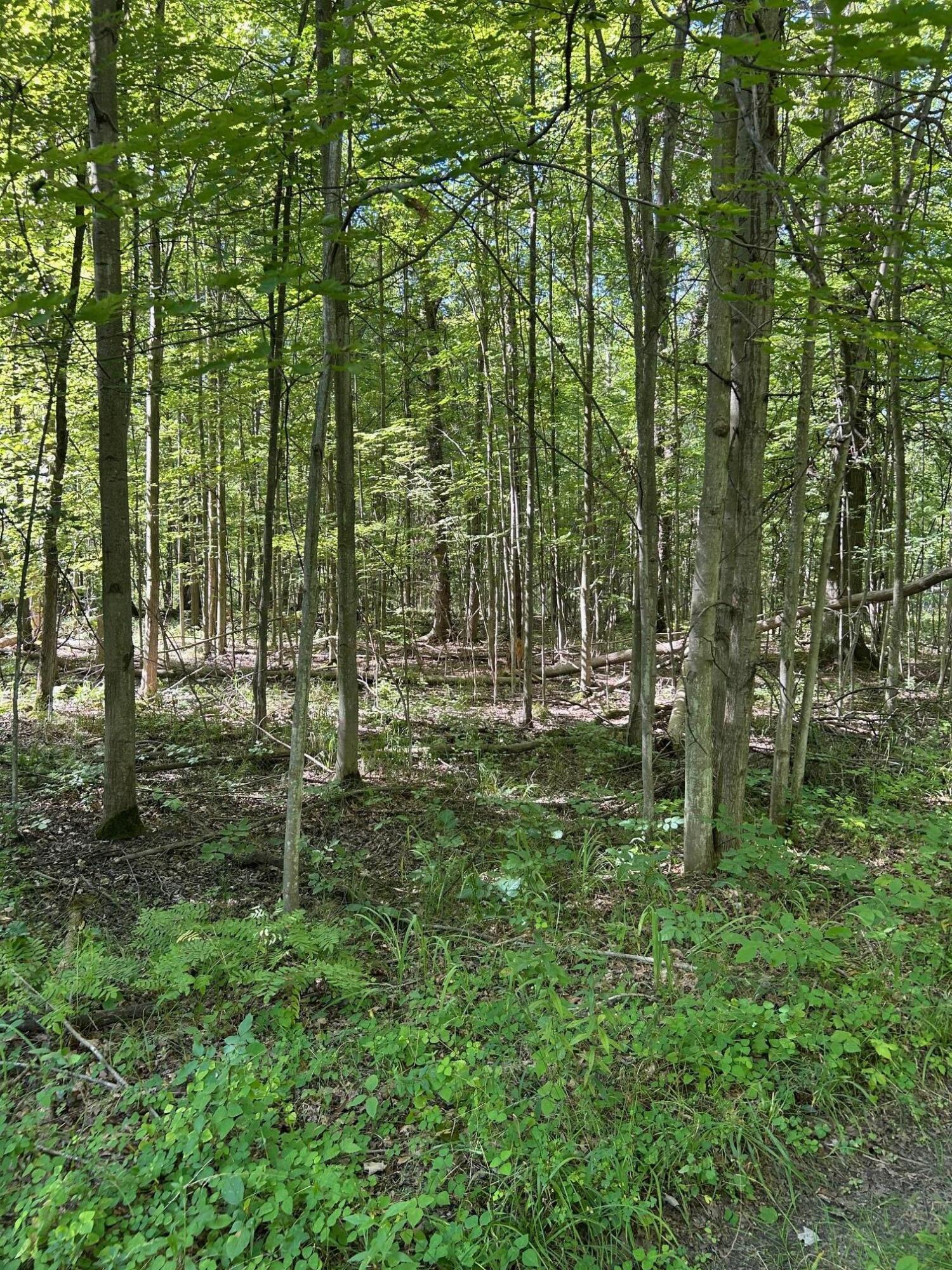 3100 West Isabella Road Shepherd, MI 48883 - Photo 3 of 7 IMG_1660