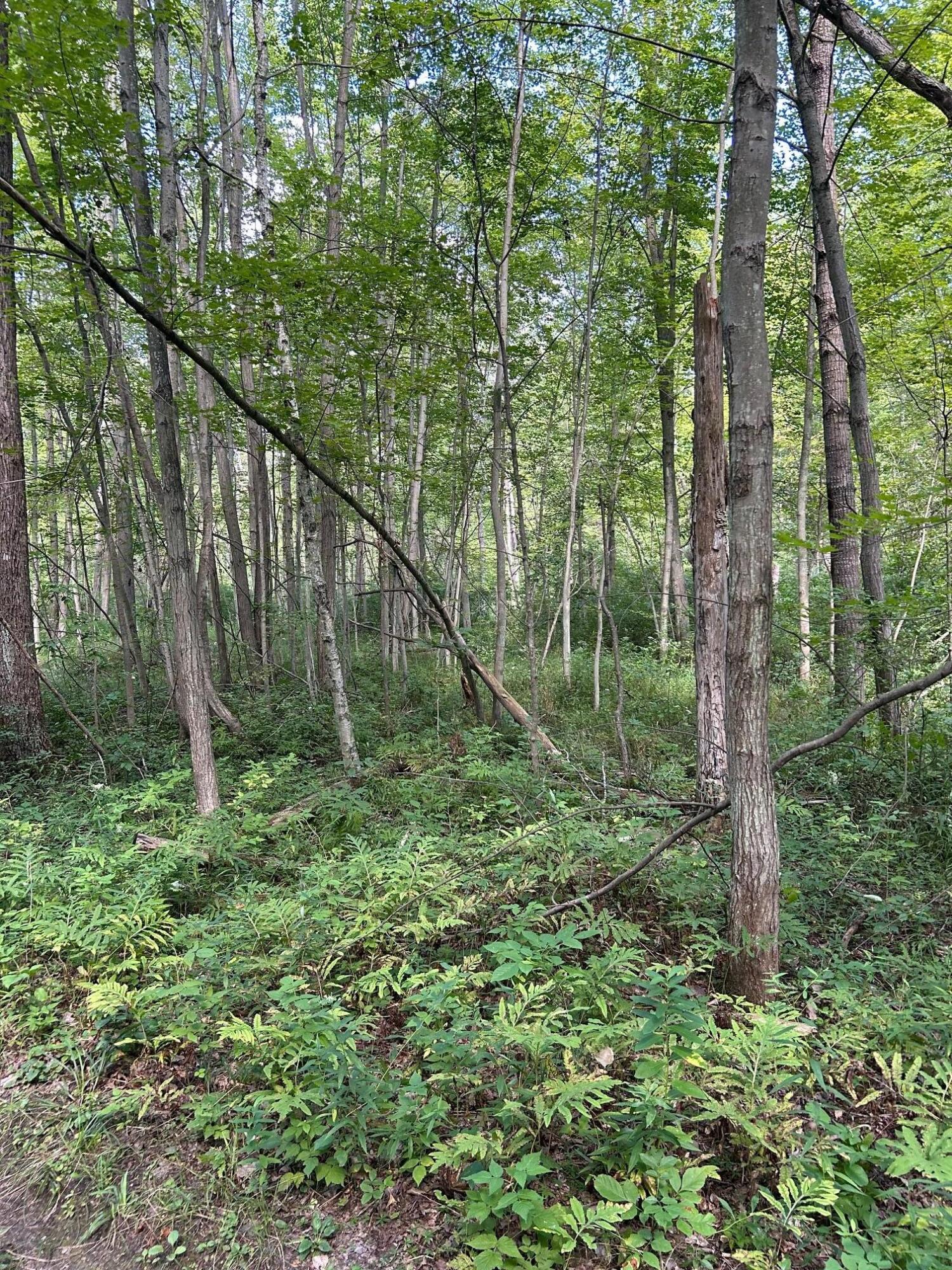 3100 West Isabella Road Shepherd, MI 48883 - Photo 4 of 7 IMG_1665