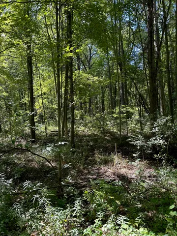 $99,900 | 3100 West Isabella Road, Shepherd, MI 48883