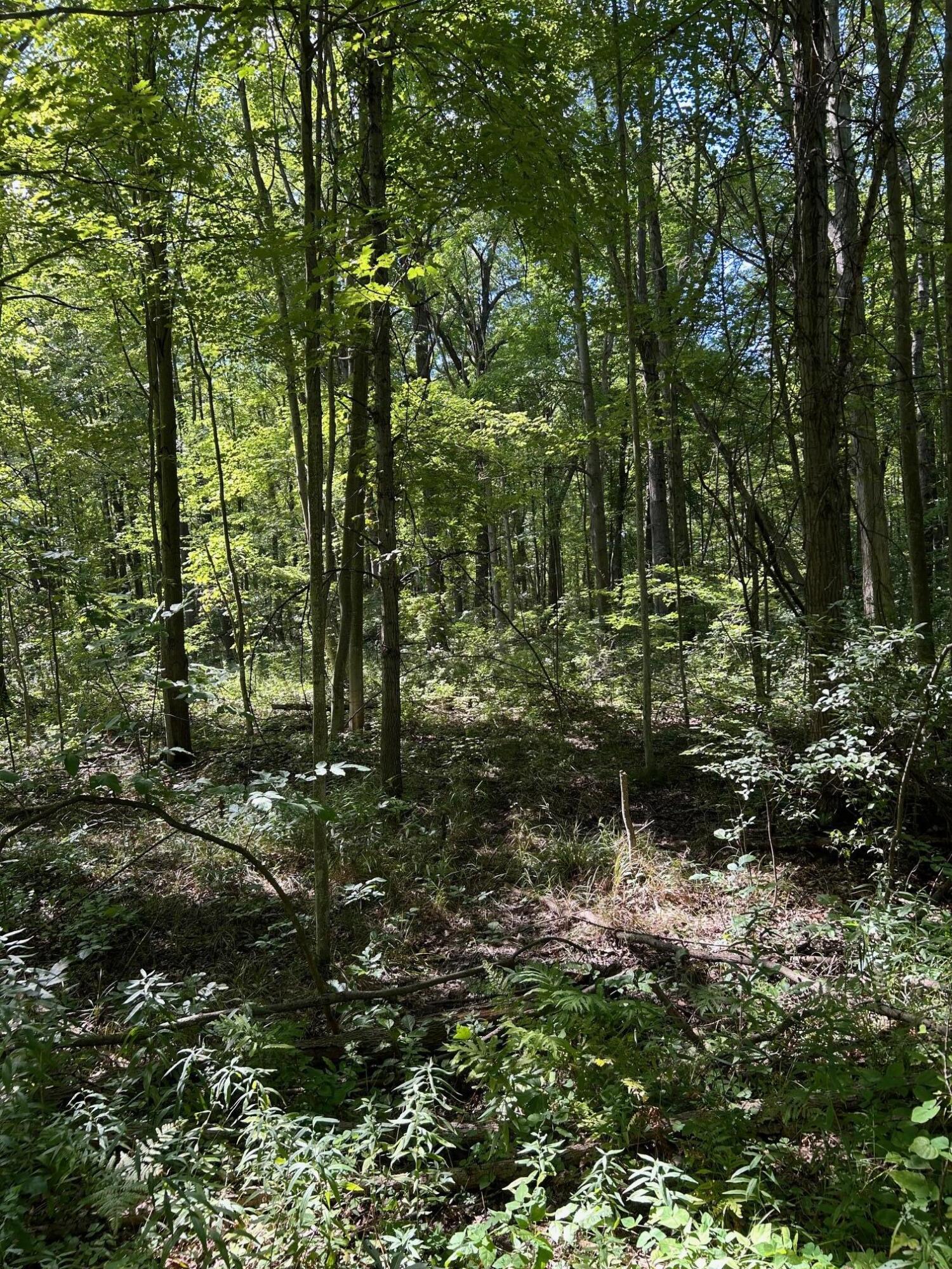 3100 West Isabella Road Shepherd, MI 48883 - Photo 5 of 7 IMG_1668