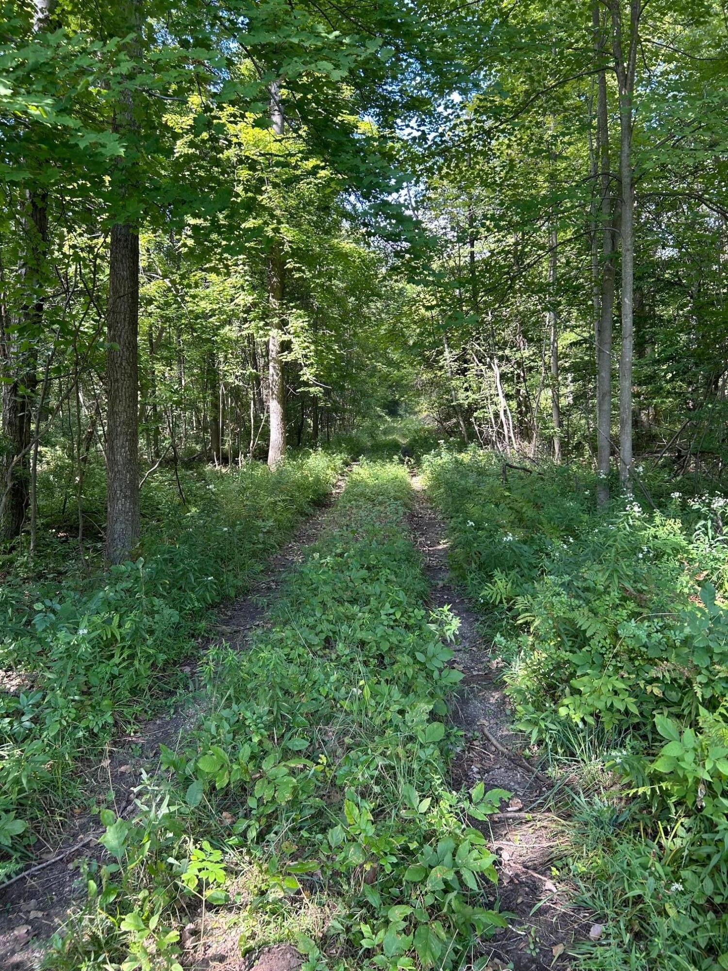 3100 West Isabella Road Shepherd, MI 48883 - Photo 6 of 7 IMG_1669