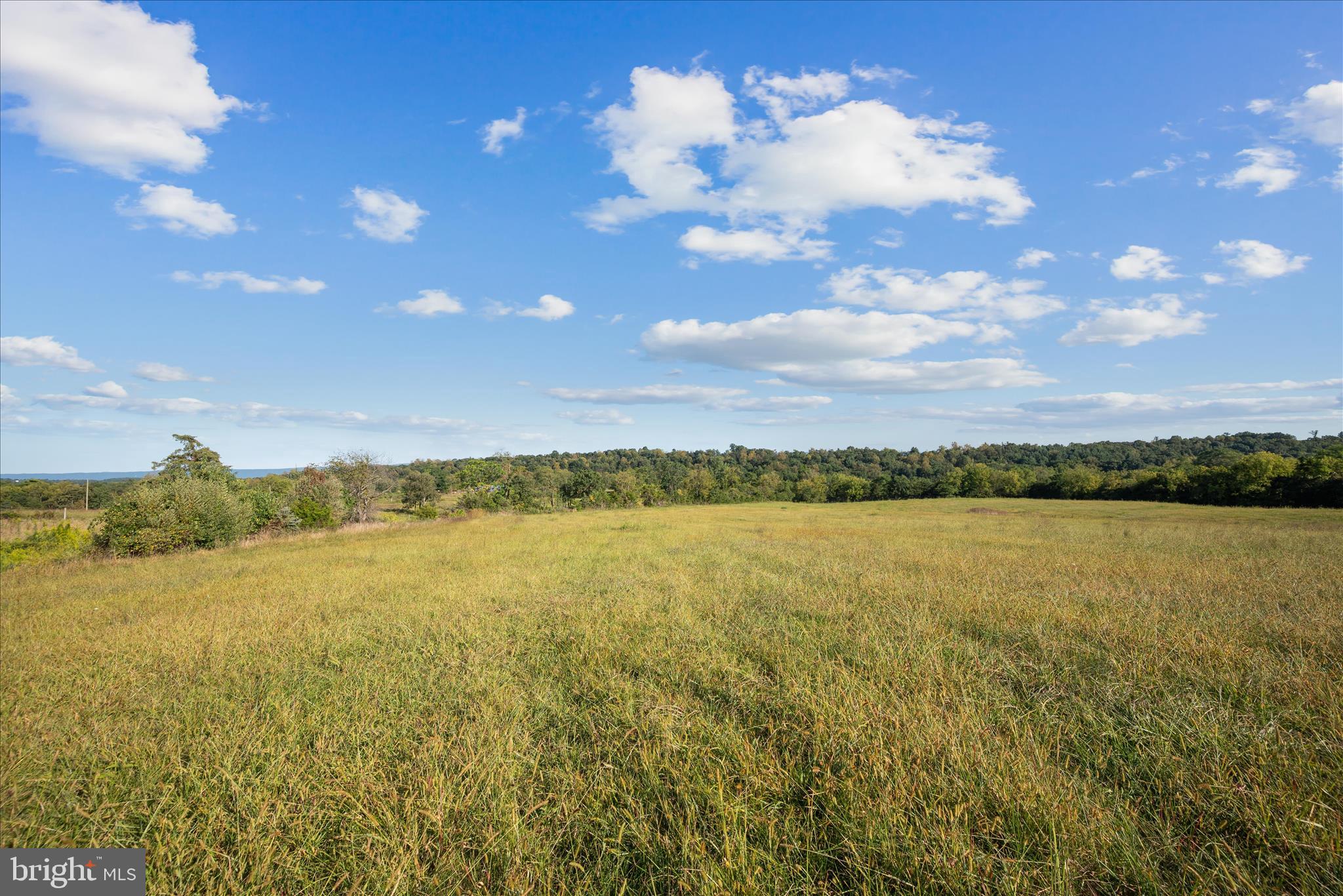Ridge Hollow Road Edinburg, VA 22824 - Photo 5 of 17 Lot Landscape