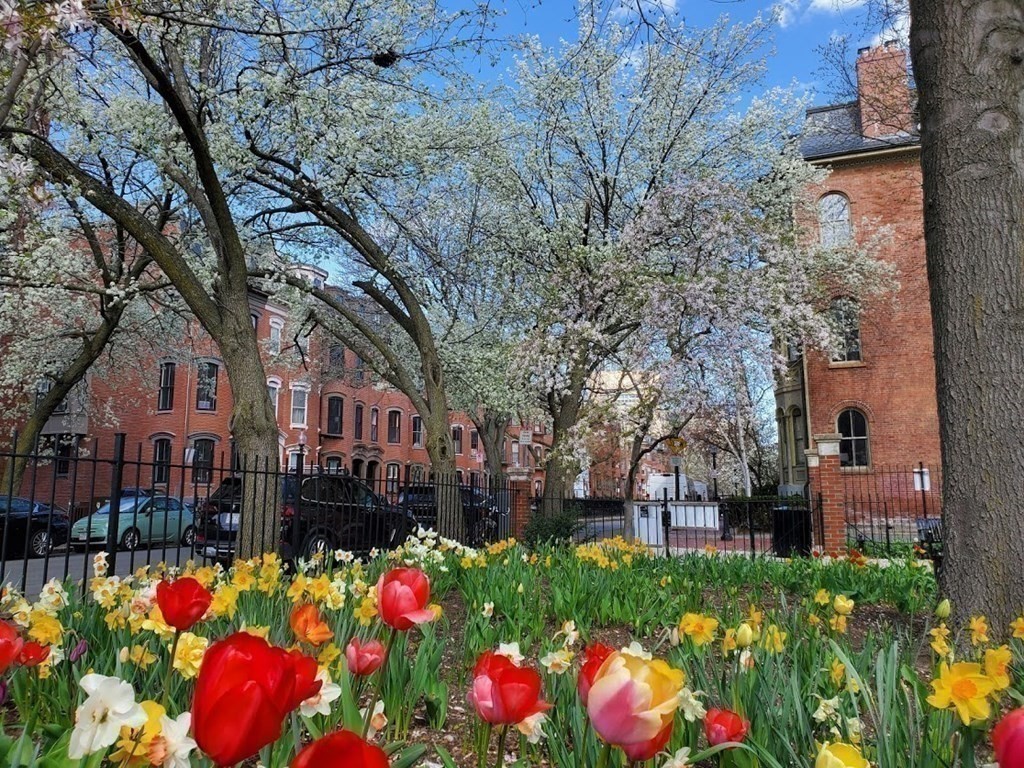 40 Rutland Square, Unit 5 Boston, MA 02118 - Photo 19 of 19