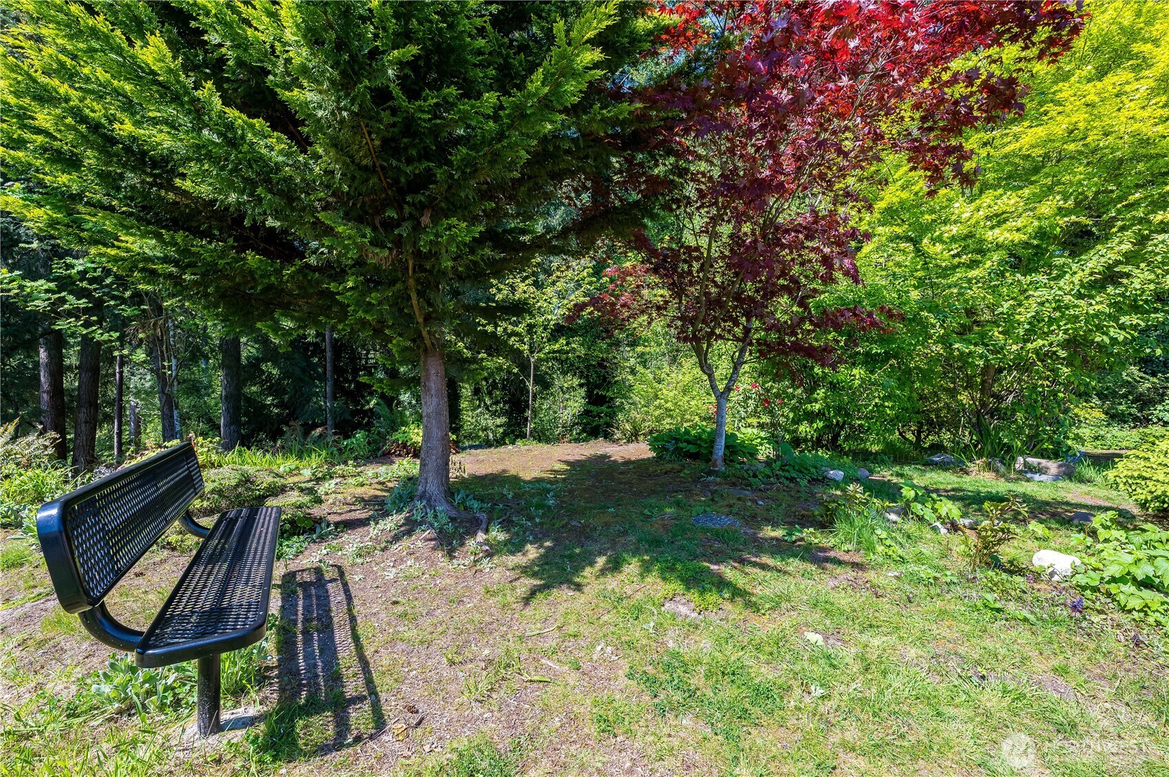 23708 Locust Way, Unit 29 Bothell, WA 98021 - Photo 14 of 14 a view of outdoor space and yard