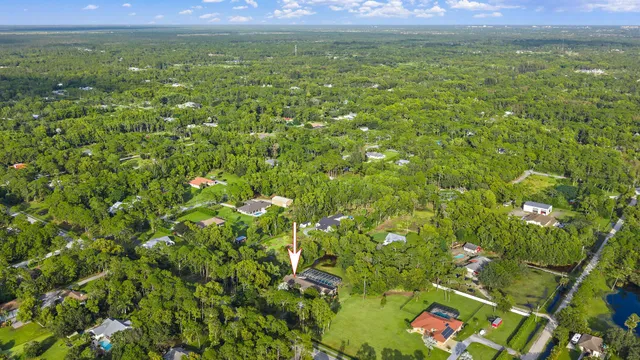 a view of a big yard with lots of bushes