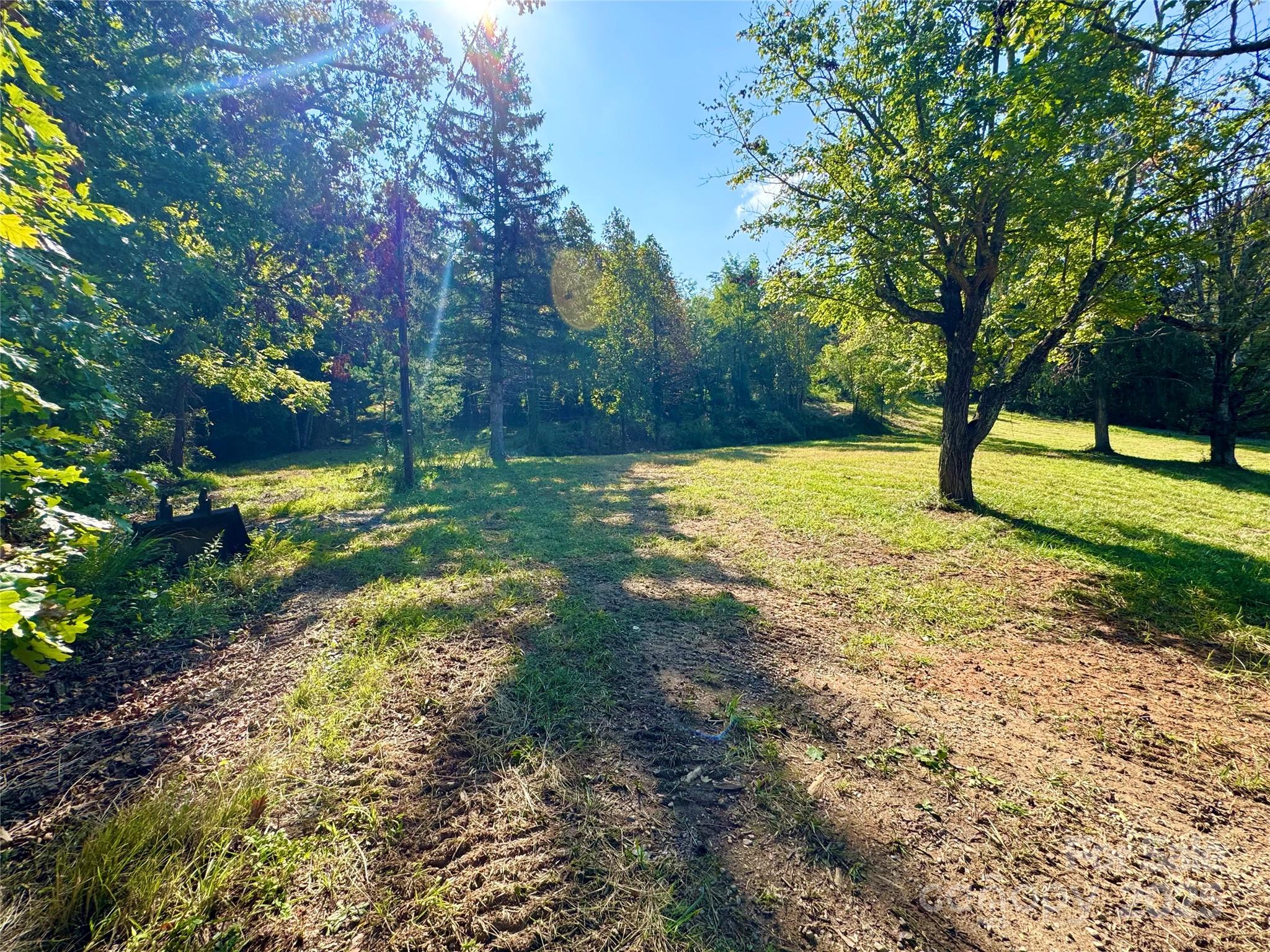 40 Doan Road Weaverville, NC 28787 - Photo 3 of 9 a view of a yard with trees