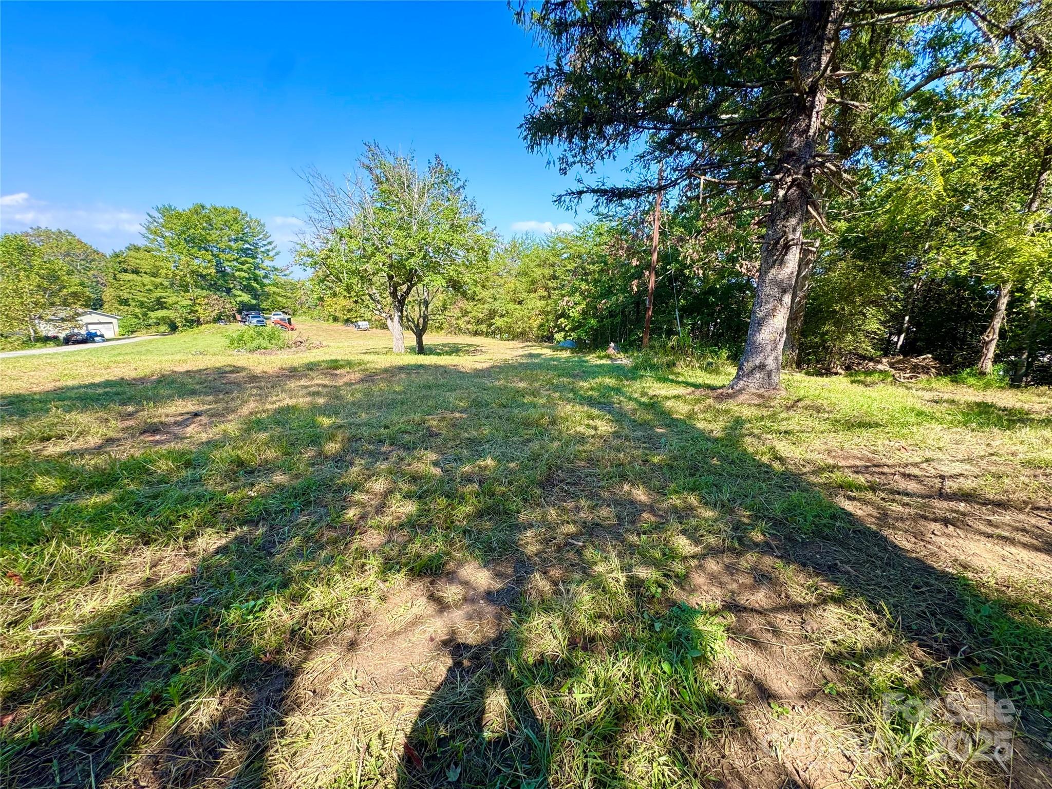 40 Doan Road Weaverville, NC 28787 - Photo 4 of 9 a view of a yard with a tree