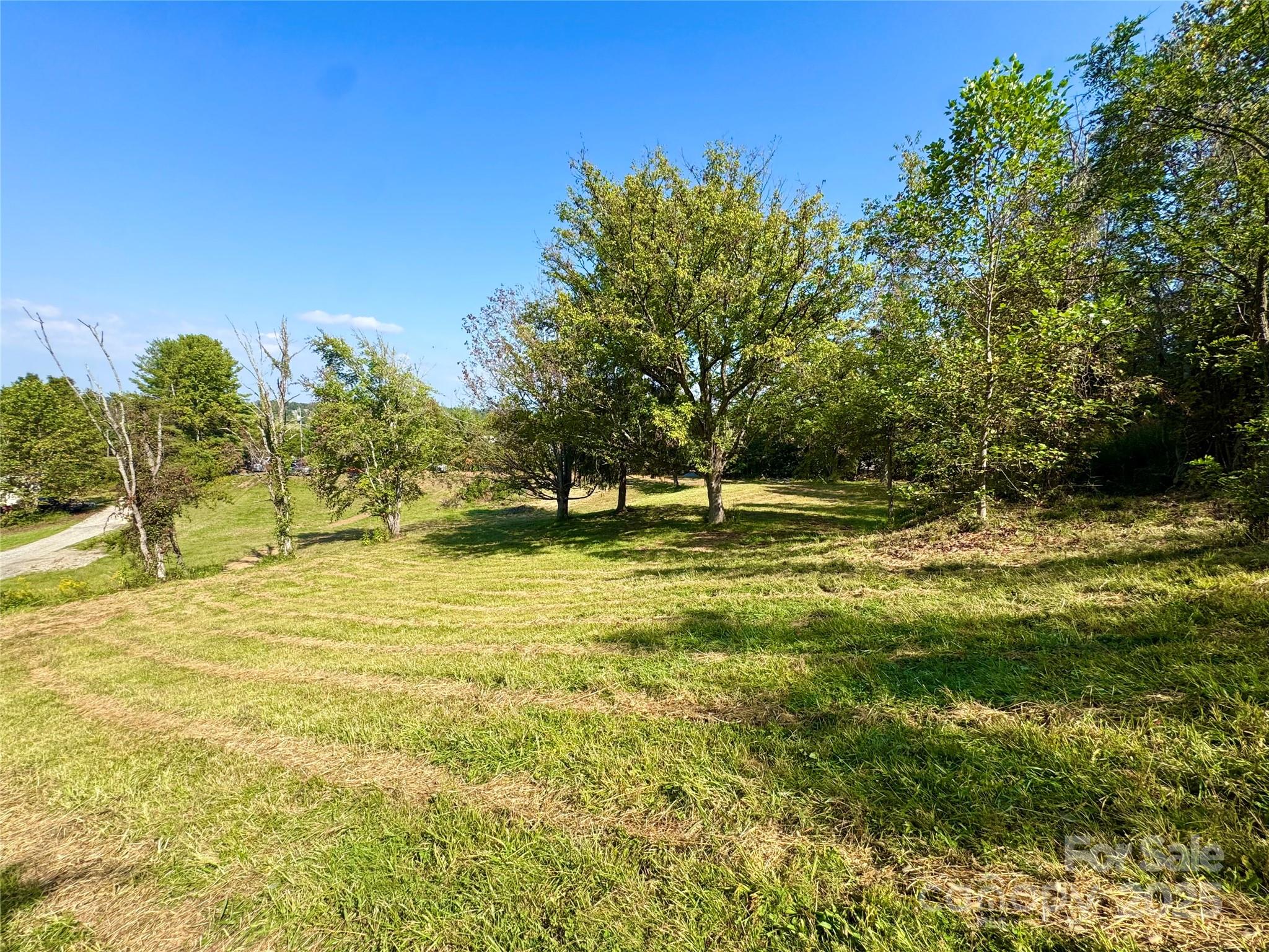 40 Doan Road Weaverville, NC 28787 - Photo 5 of 9 a view of outdoor space with trees