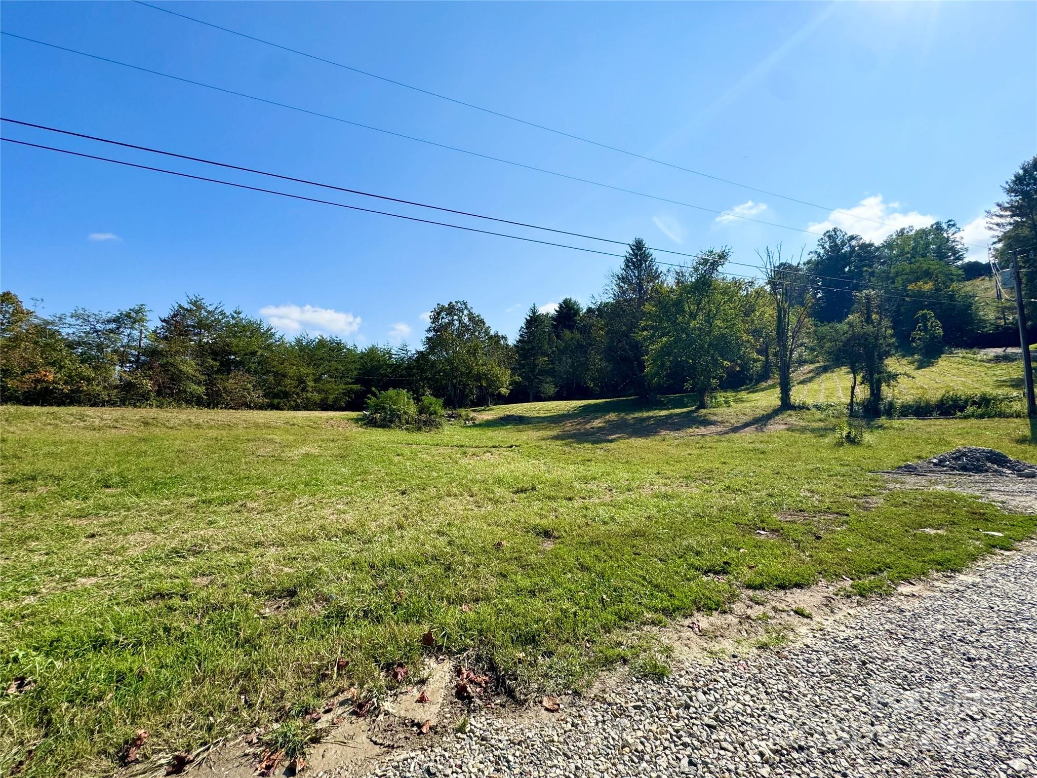 40 Doan Road Weaverville, NC 28787 - Photo 7 of 9 a view of a field with a tree