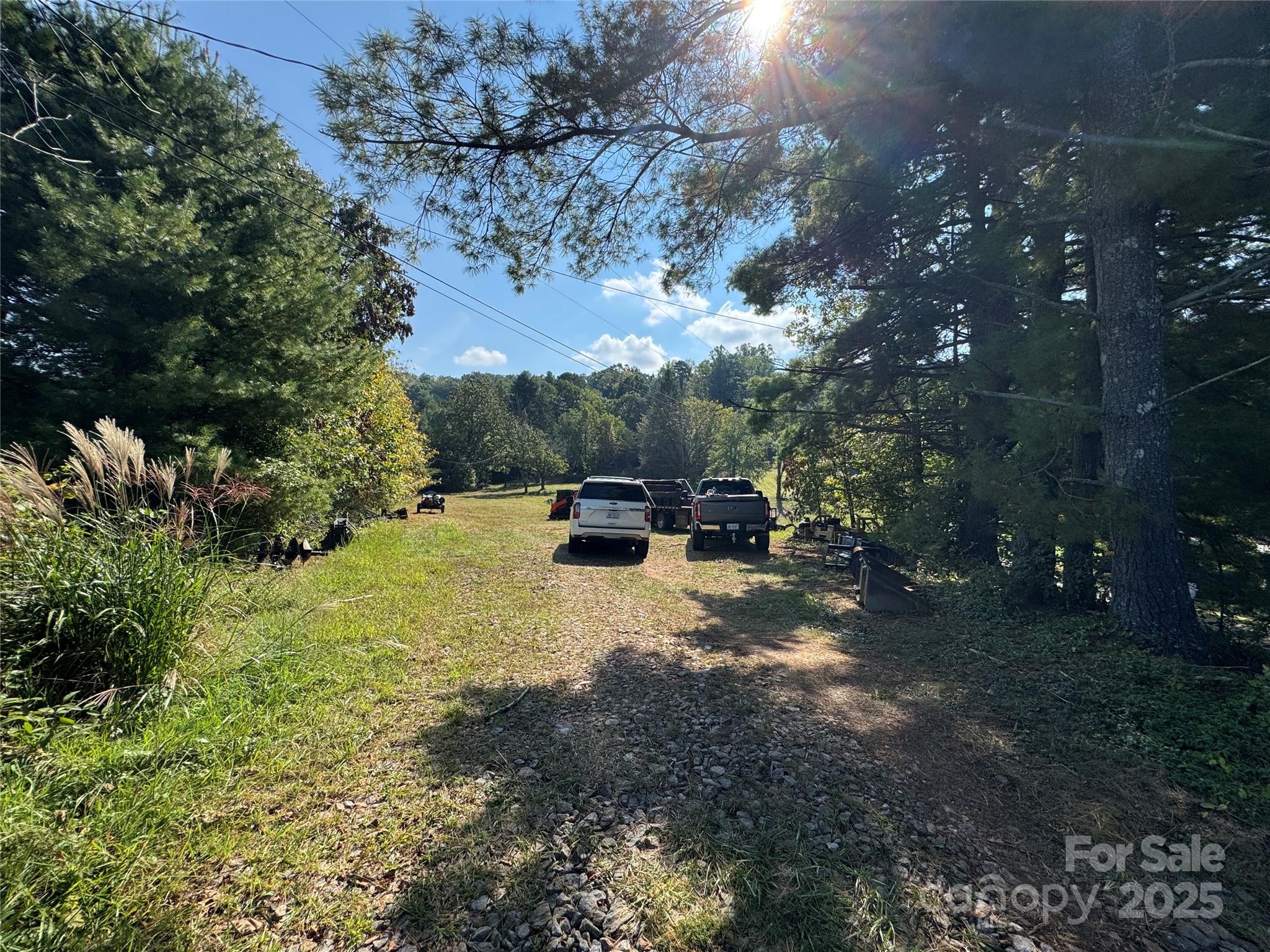40 Doan Road Weaverville, NC 28787 - Photo 9 of 9 a view of a yard with trees