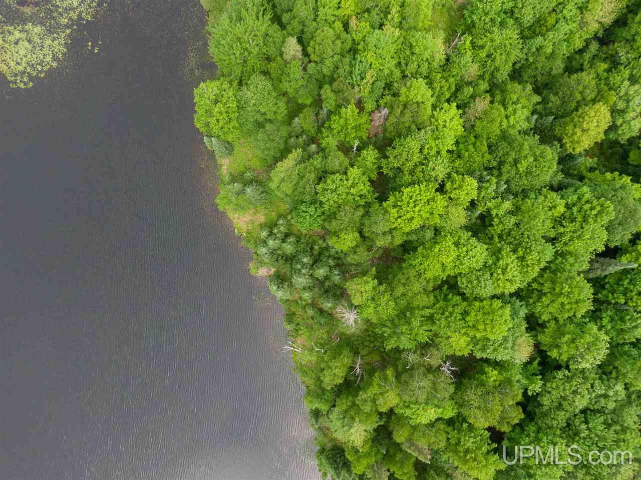 Lot 27 Red Maple Landing Marenisco, MI 49947 - Photo 6 of 9