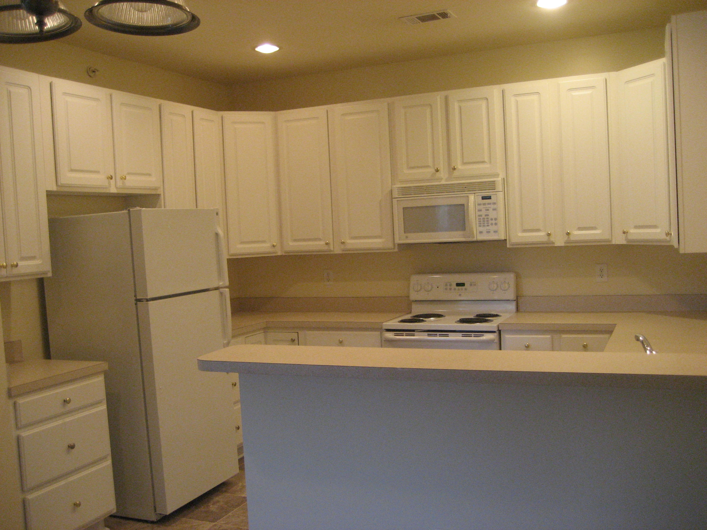 3306 Mariners Way, Unit 3306 Moncks Corner, SC 29461 - Photo 8 of 22 IMG_4075