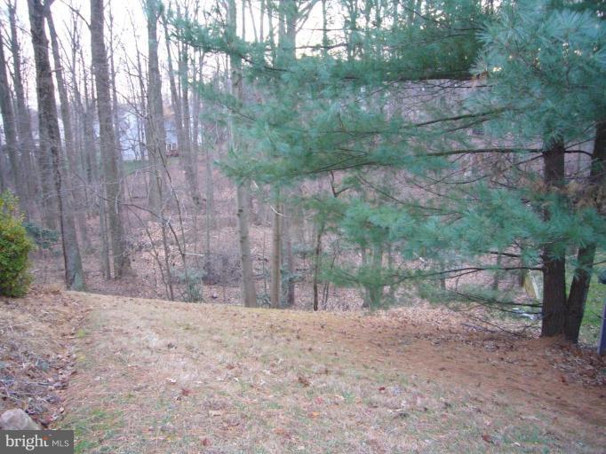 11707 Saddlerock Road Silver Spring, MD 20902 - Photo 6 of 7 Wooded View / Acreage