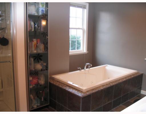3393 Ridgeway Pittsburgh, PA 15213 - Photo 2 of 6 Master Bath/Spa.