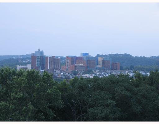 3393 Ridgeway Pittsburgh, PA 15213 - Photo 3 of 6 View.